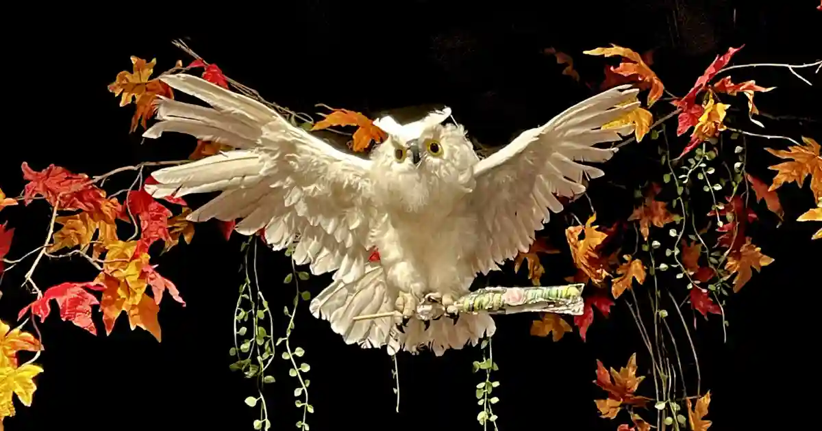 fall and halloween events in jacksonville FL
