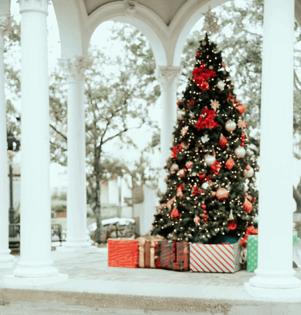 San Marco Christmas Mini Sessions