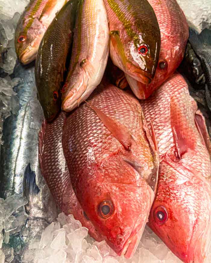 Fish, fresh in Jacksonville, FL